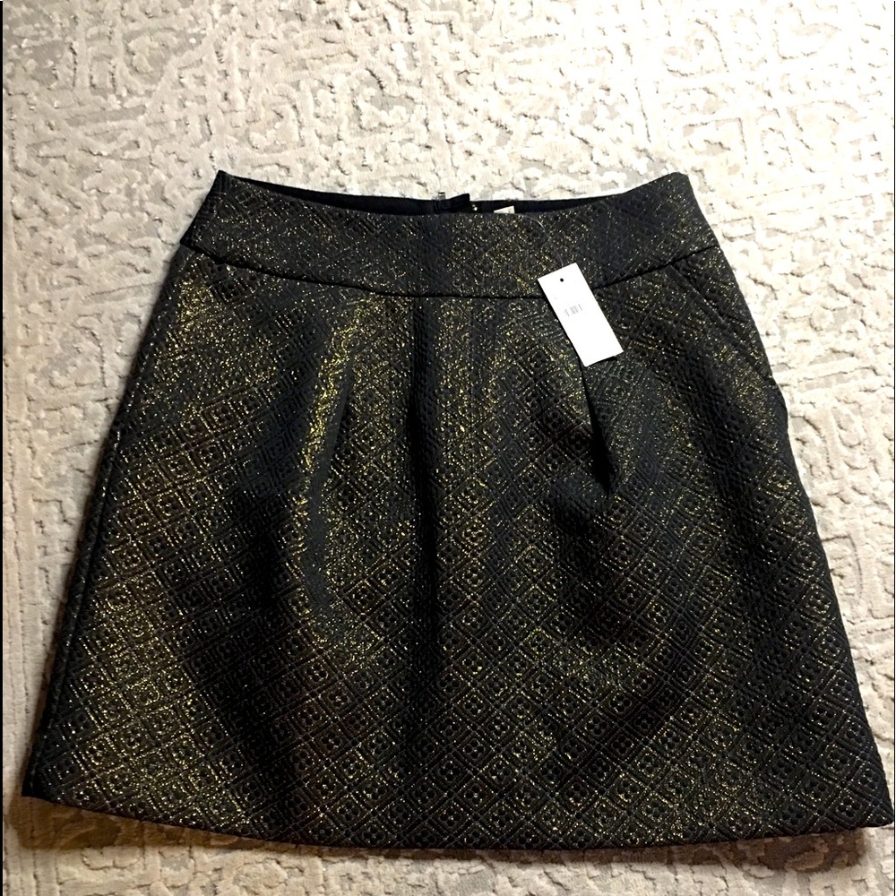 Ann Taylor Loft Skirt Size 2